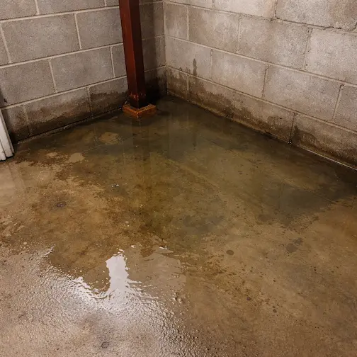 Wet basement with standing water and efflorescence before waterproofing Fort Collins